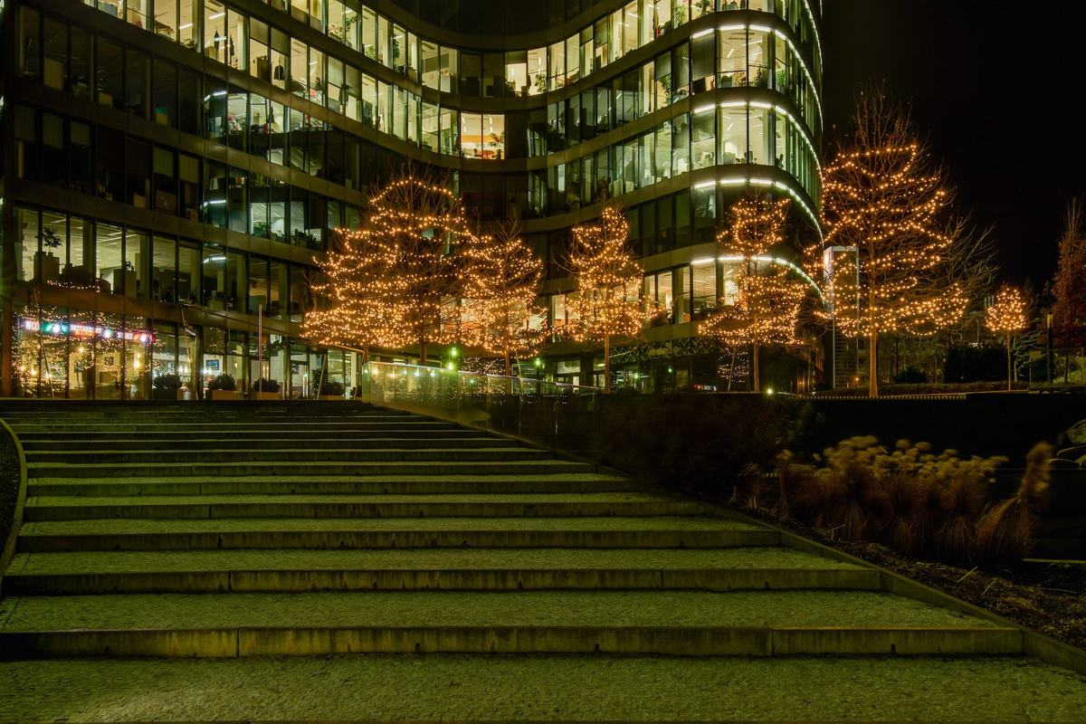 Mehrere Bäume mit warmweißen Lichterketten vor einem Bürogebäude bei Nacht